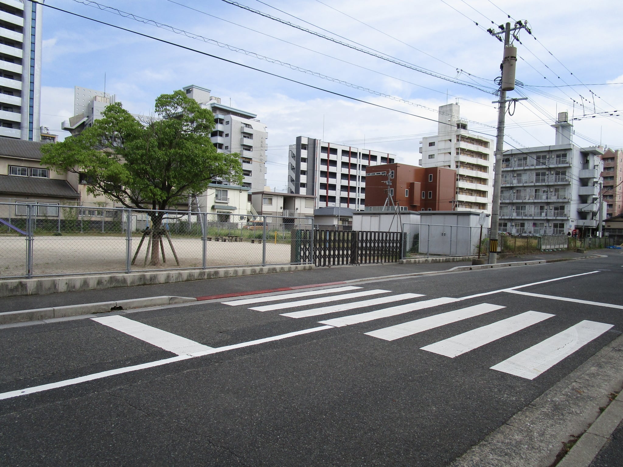 園庭・お外